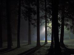 USING SCIENCE TO INVESTIGATE THE PARANORMAL