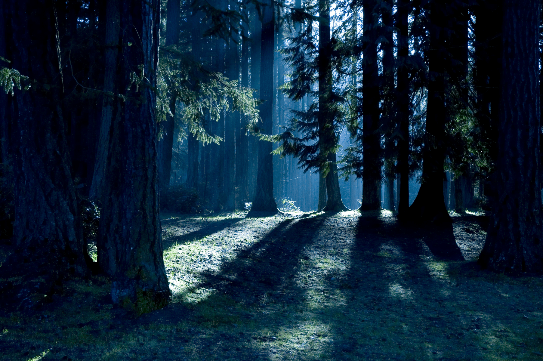 The Headless Ghost of King Charles I