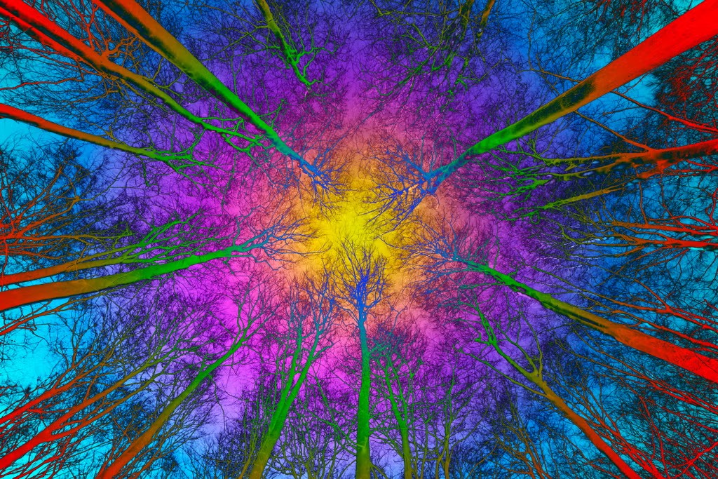 Human Consciousness Comes From a Higher Dimension, Scientist Claims—Meaning It Could Transcend the Physical World